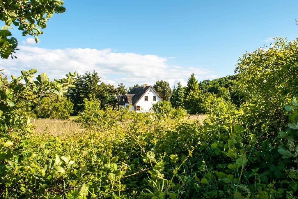Dat Witte Hus Moritzdorf Ruegen Ferienwohnungen - Ruhige Lage Екстериор снимка